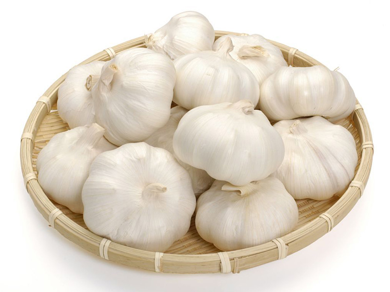 garlic